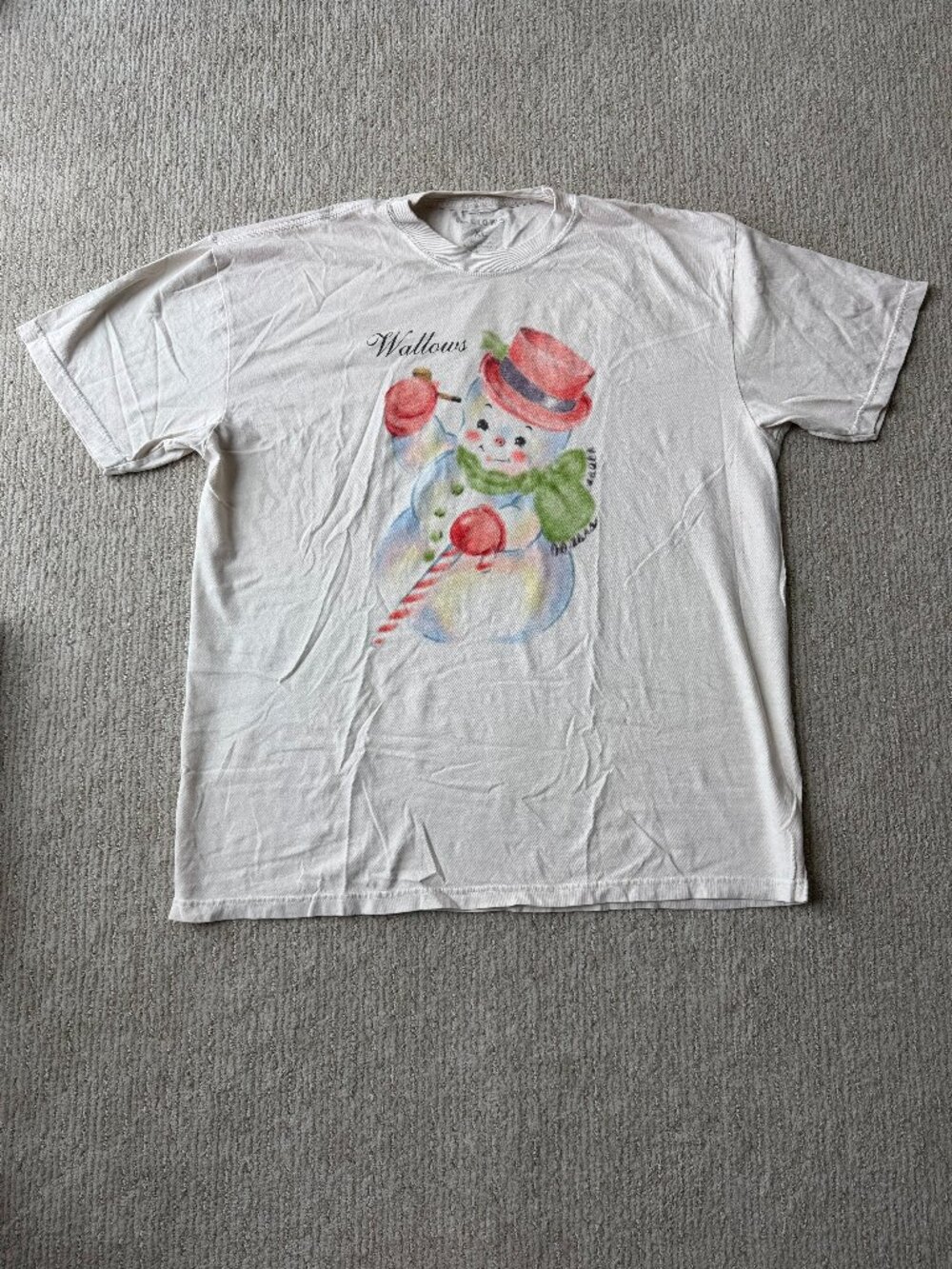 Wallows Graphic T-Shirt